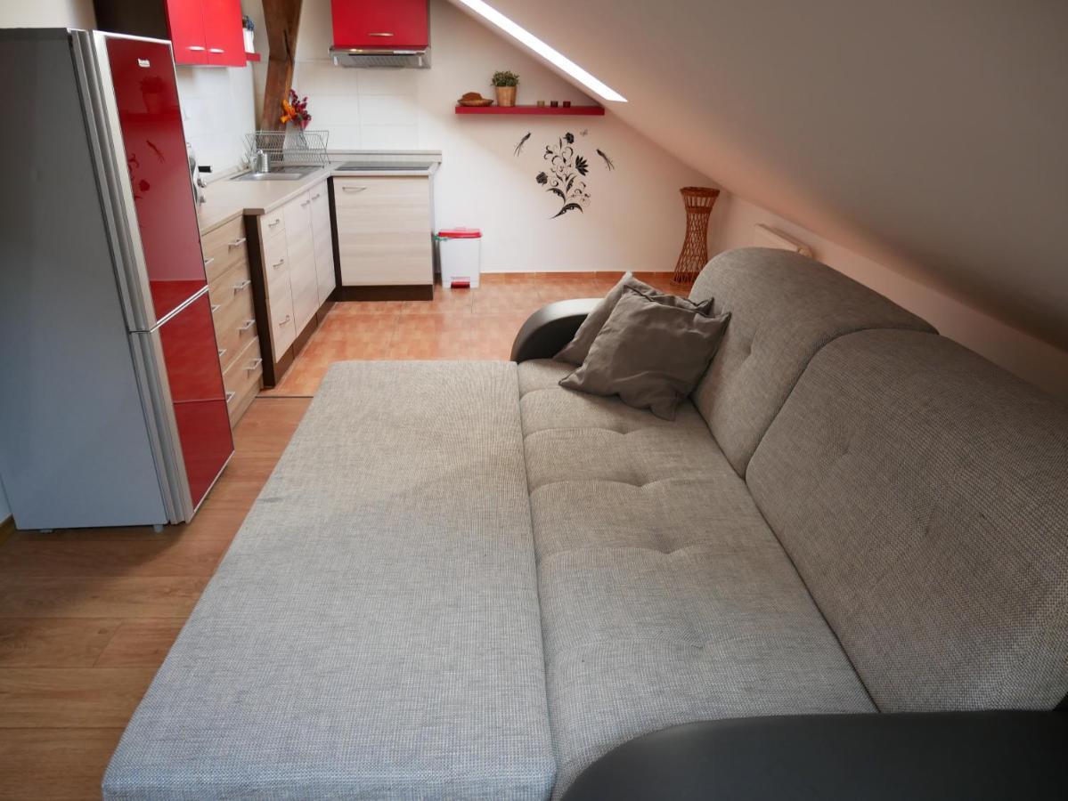 Apartmany Lipno-1 伏尔塔瓦河畔利普诺 外观 照片