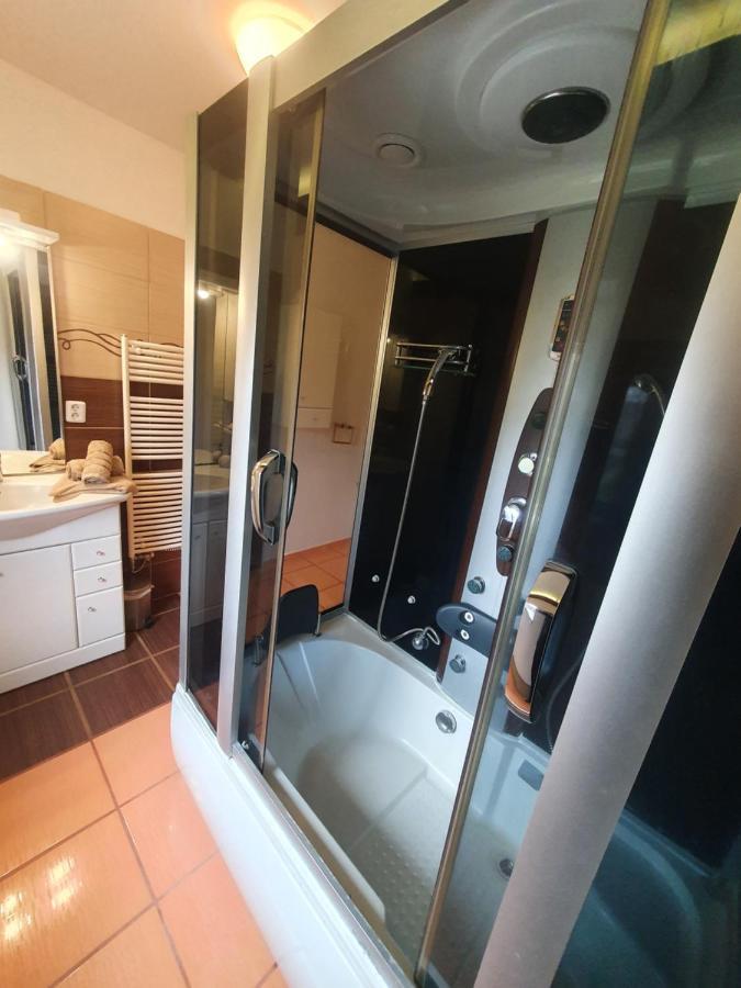 Apartmany Lipno-1 伏尔塔瓦河畔利普诺 外观 照片