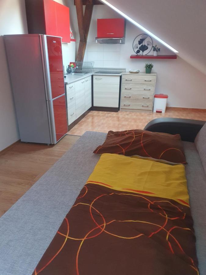 Apartmany Lipno-1 伏尔塔瓦河畔利普诺 外观 照片