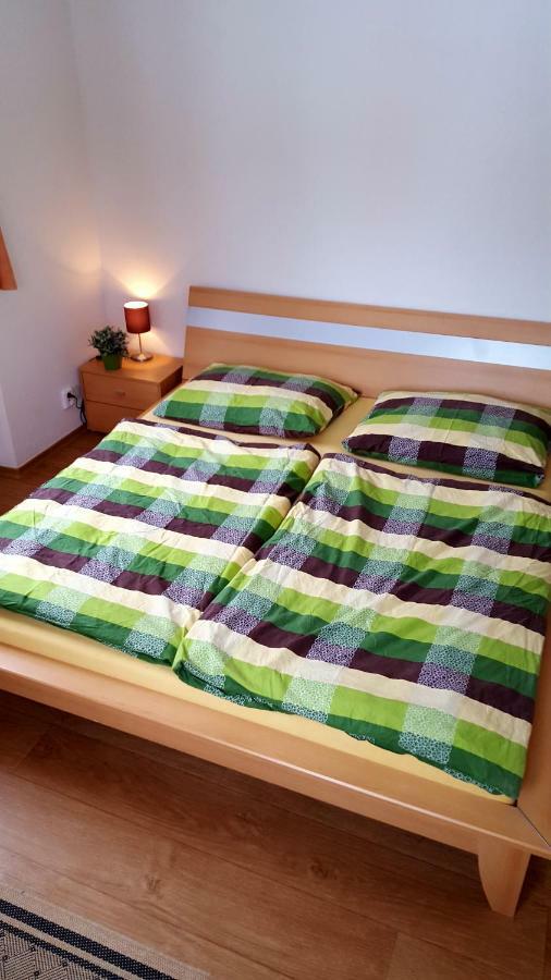 Apartmany Lipno-1 伏尔塔瓦河畔利普诺 外观 照片