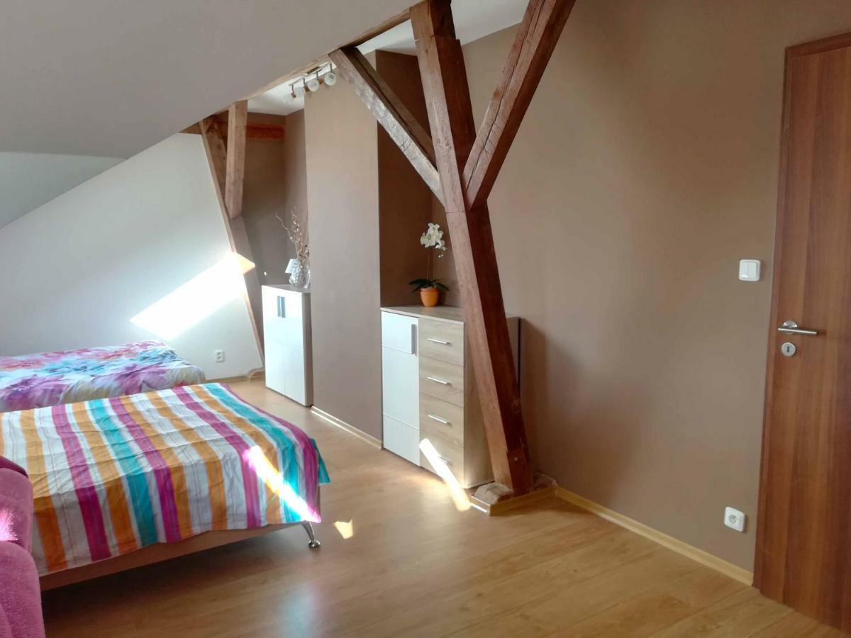 Apartmany Lipno-1 伏尔塔瓦河畔利普诺 外观 照片