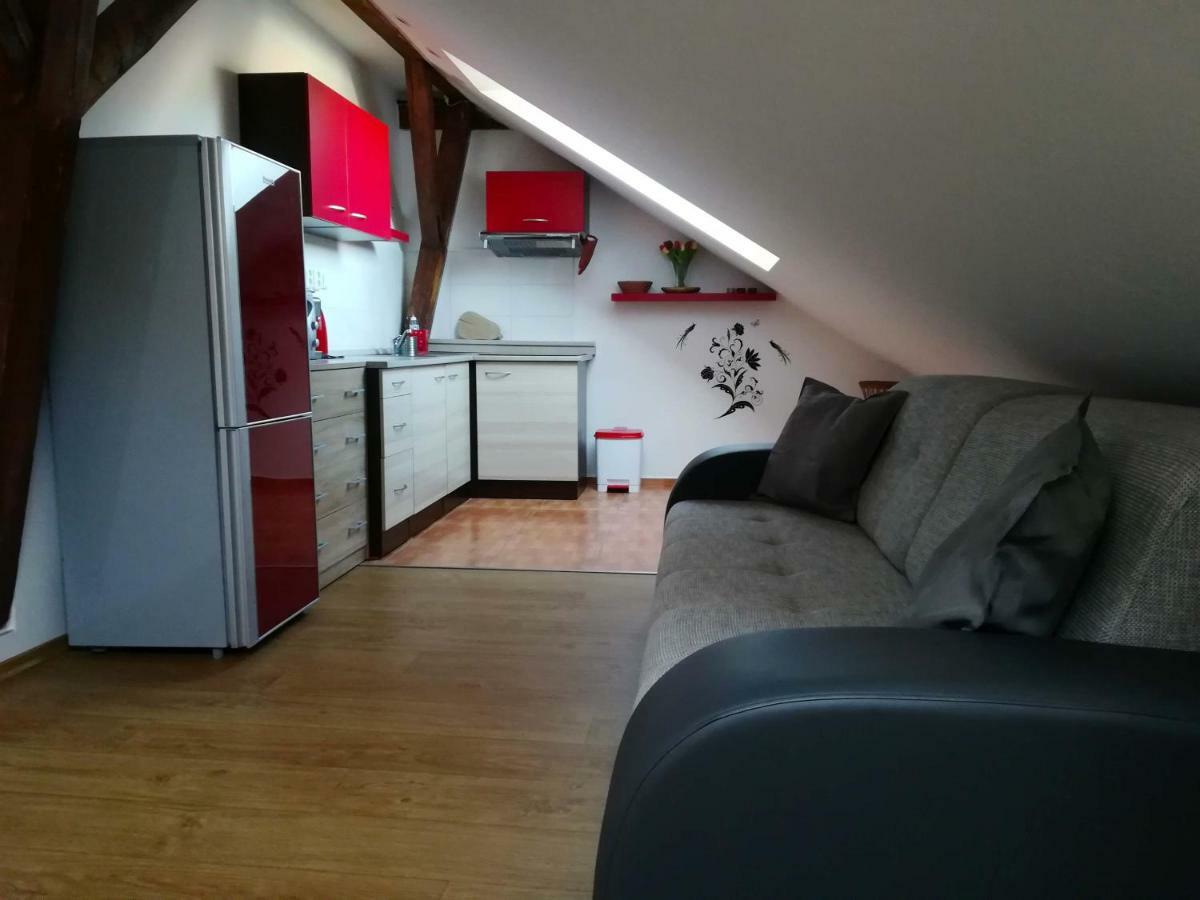 Apartmany Lipno-1 伏尔塔瓦河畔利普诺 外观 照片