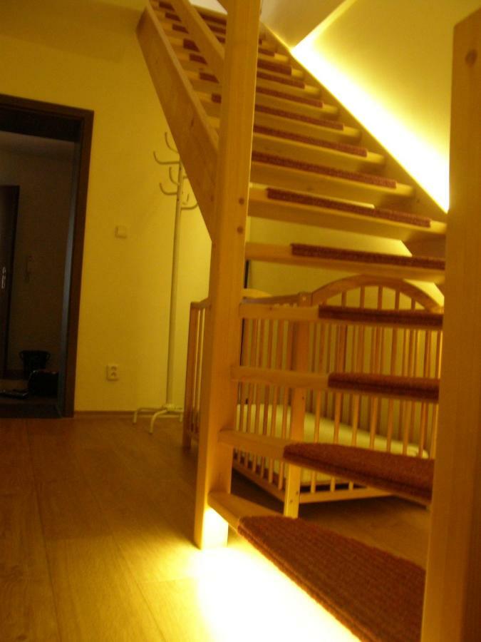 Apartmany Lipno-1 伏尔塔瓦河畔利普诺 外观 照片